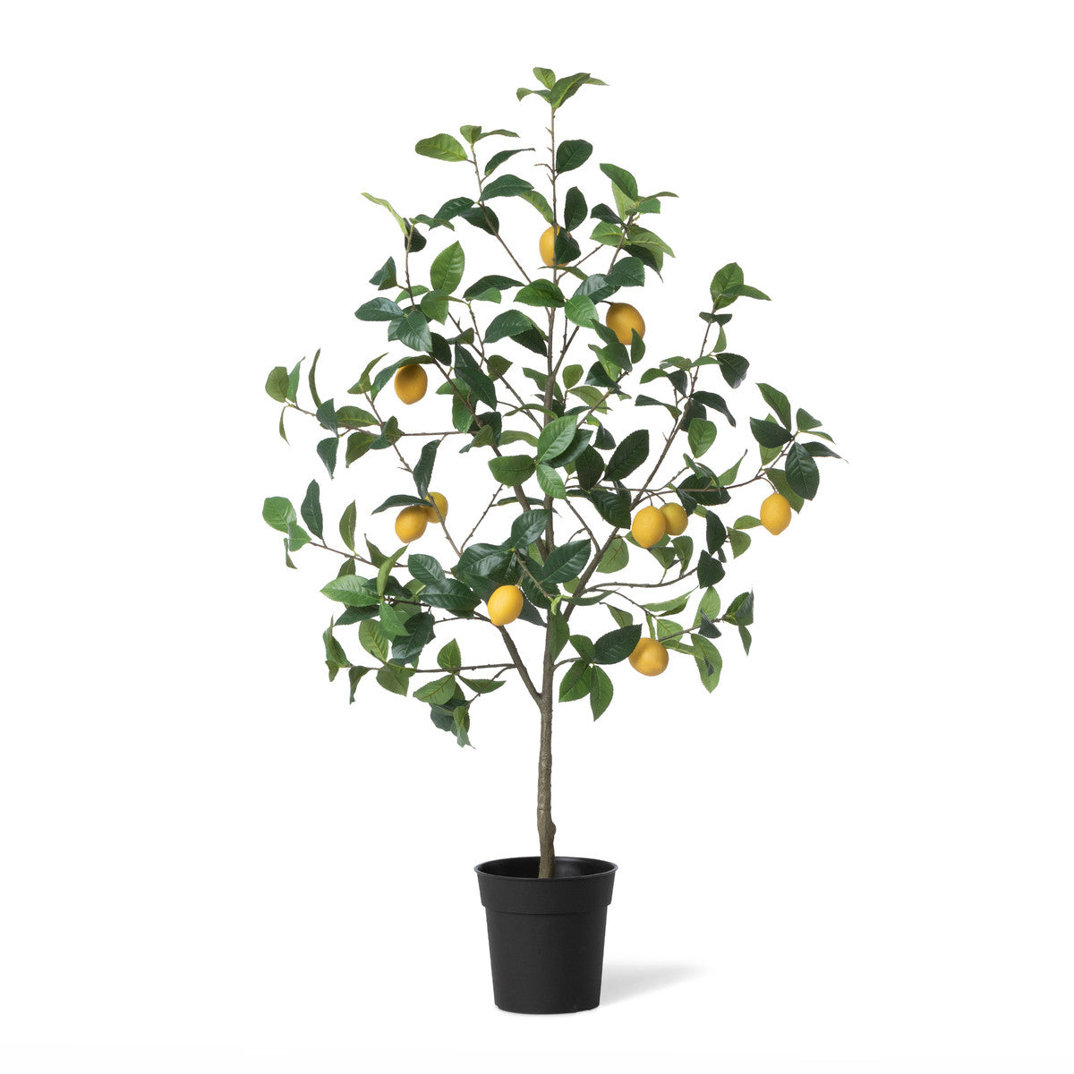 Lemon Tree In Plastic Pot – Christy Griner Hulsey & Colonial House Of 