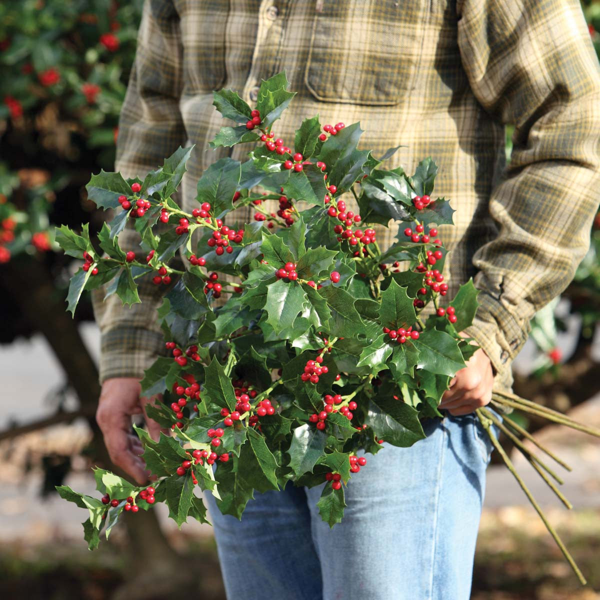 Faux, Artificial English Holly Stem – Christy Griner Hulsey & Colonial ...