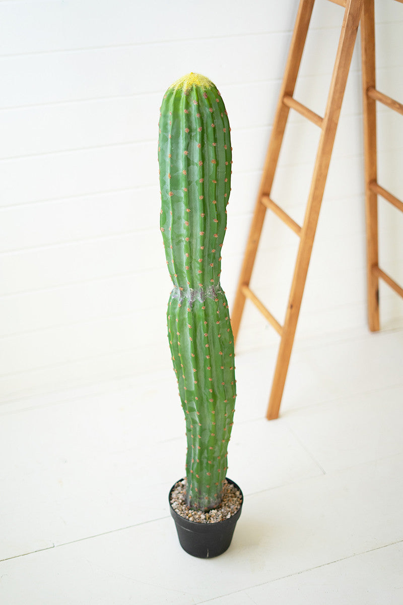 Faux, Artificial Single Trunk Cactus in a Black Plastic Pot Botanica