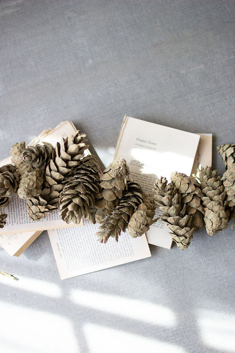 Pinecones For Winter Home Decor - House of Hawthornes